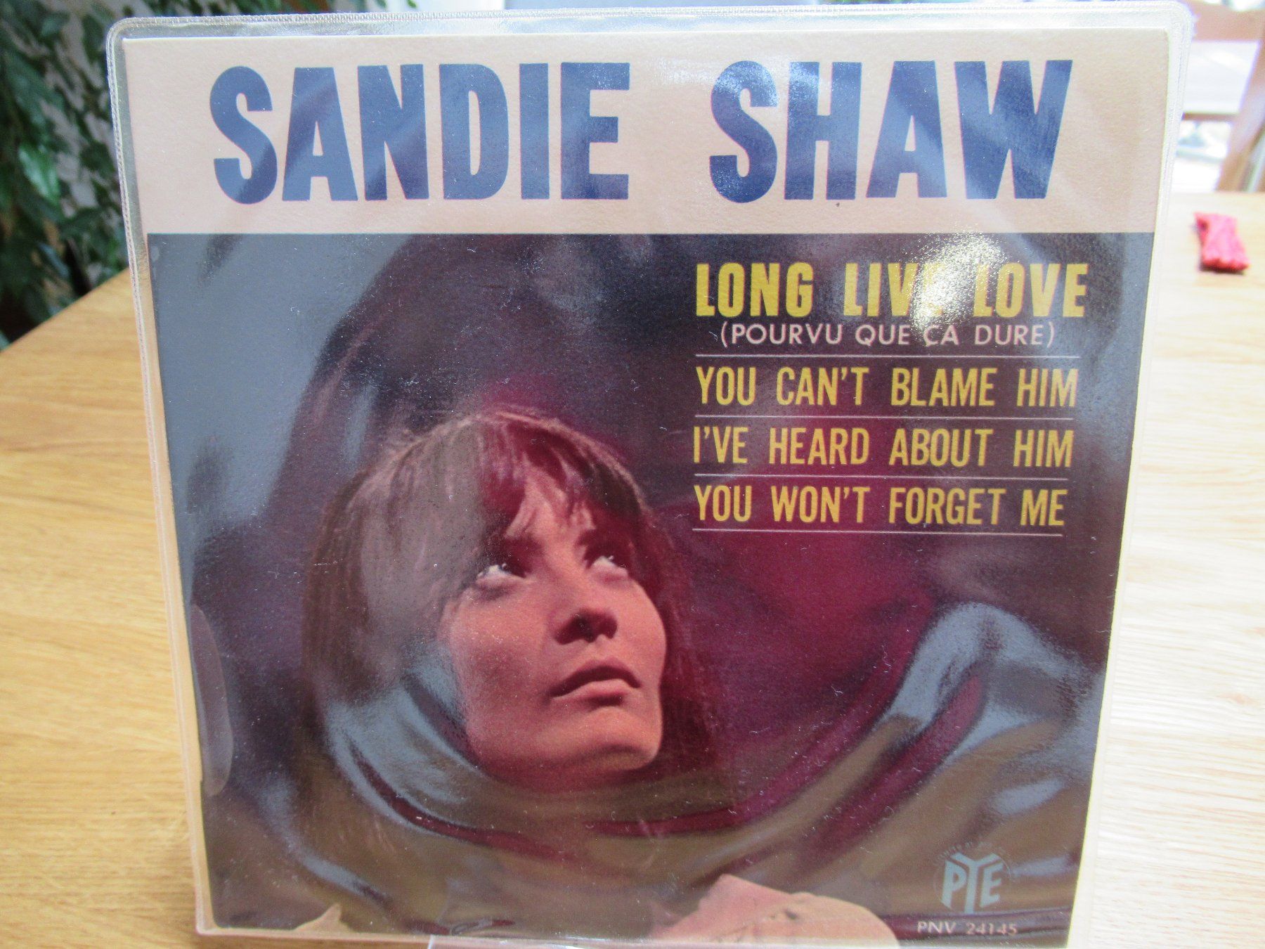 Dischi in vinile: SANDIE SHAW - LONG LIVE LOVE - TBE – Usato da Grône venduto da Mire01