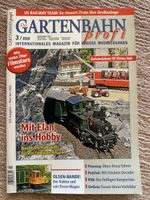 Magazin Der Gartenbahn Profi Ausgabe 3 2020 gebraucht