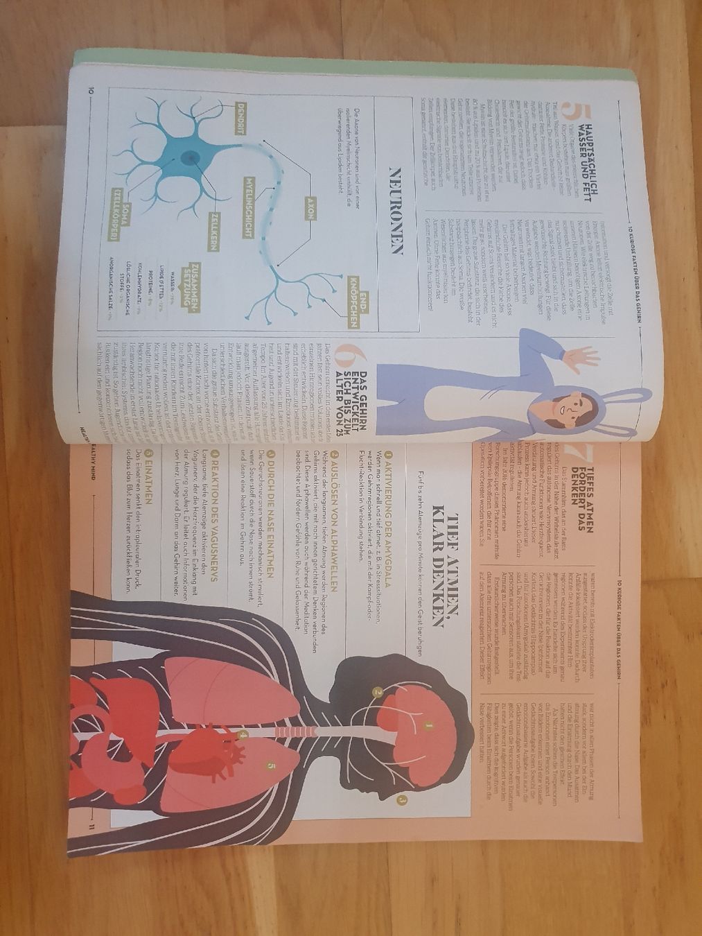 Zeitschriften & Magazine: Healthy Mind Magazin 02/2024 – Gebraucht aus Moosseedorf von Sonnenschein.. 2