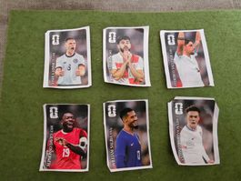 Letzte Chance für Coca Cola Panini Bilder