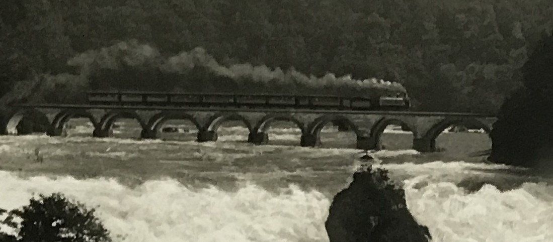 Cartoline postali: ANSICHTSKARTE RHEINFALL MIT EISENBAHN – Usato da Ostermundigen venduto da wini63 1