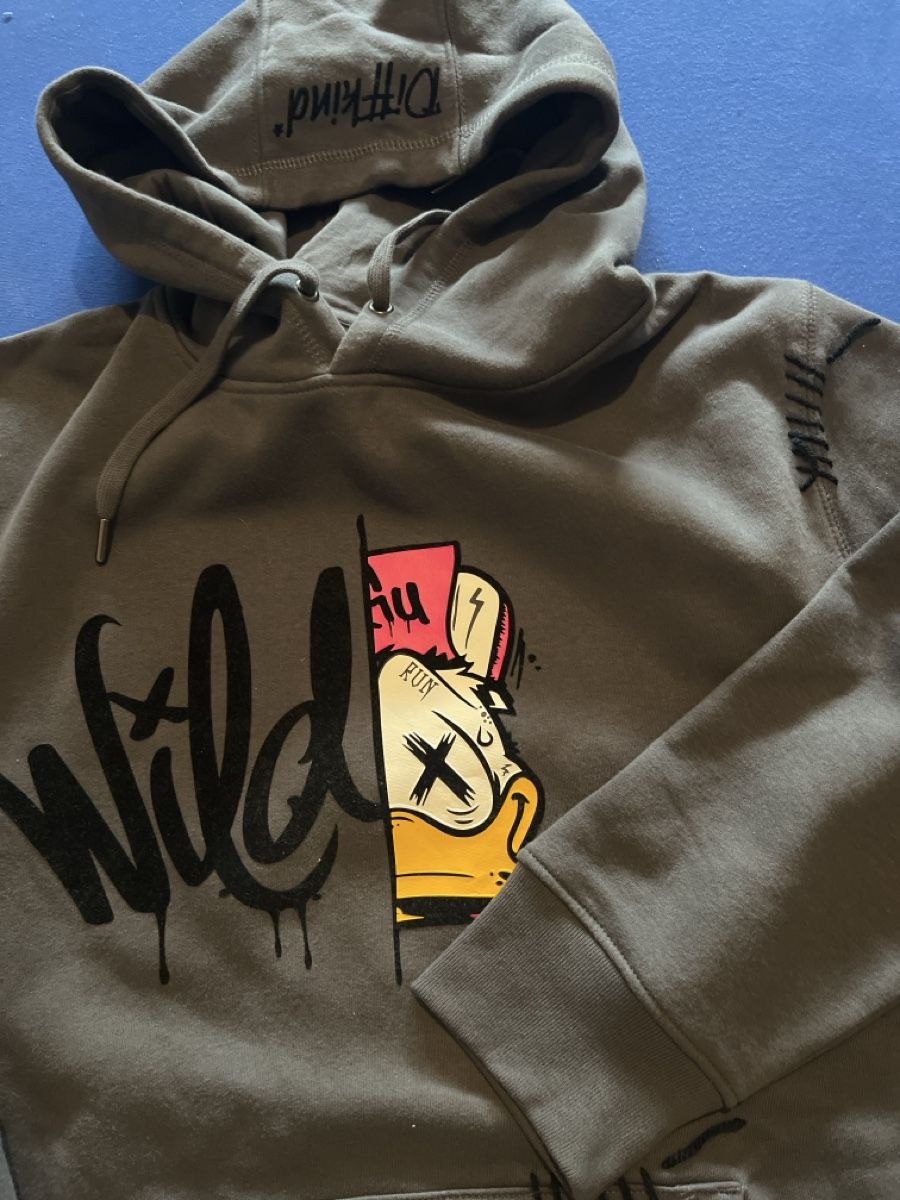 Pulls & Sweat-shirts: Kapuzenpullover Diffkind Donald.  L54630464 – Neuf avec emballage d'origine à Susten par mar_mnx9 1