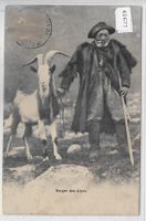 Berger des Alpes - Ziegen-Bock