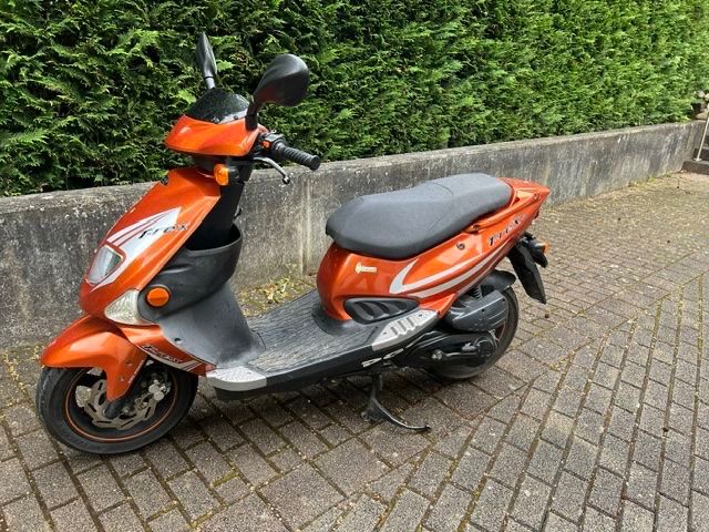 Scooter: Roller T-Rex 125 – Usato da Binningen venduto da staubsauger123 1
