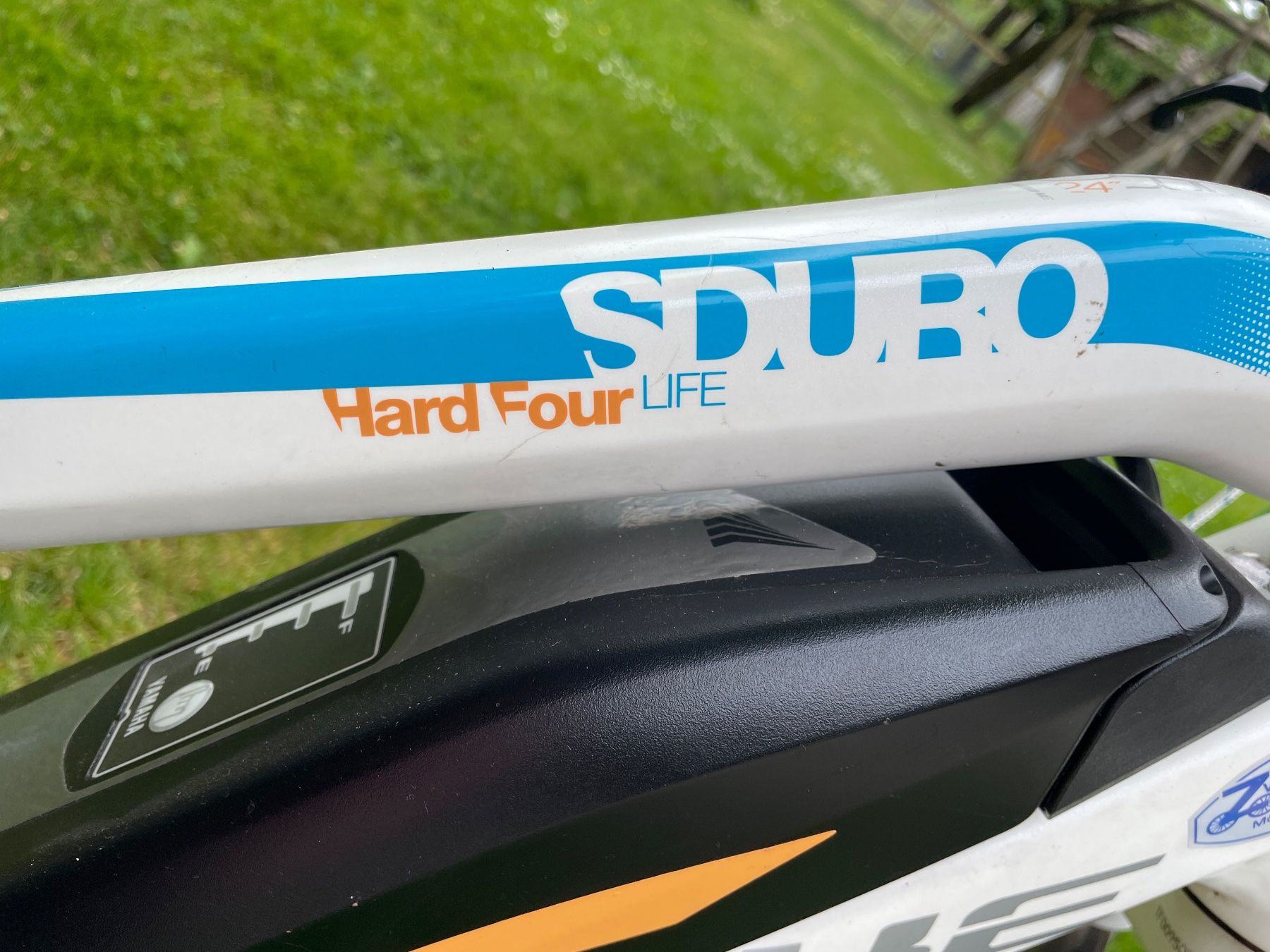 Biciclette: Elektro Velo 24 Zoll – Usato da Buttwil venduto da Goni7 2