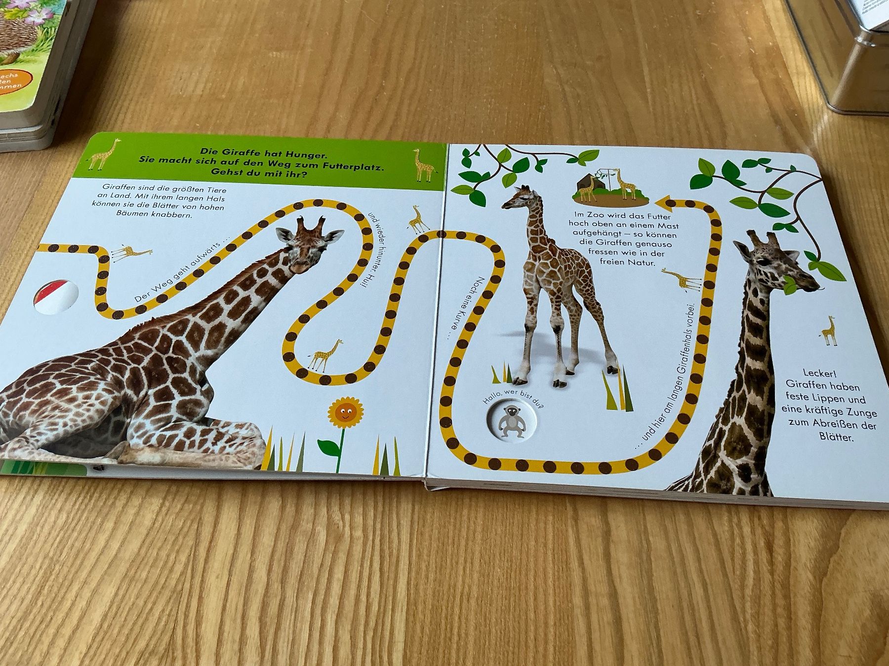 Bücher: Fingerspurbuch "Im Zoo", mit Geräuschen – Gebraucht aus Oberdorf SO von walterrueefli 2