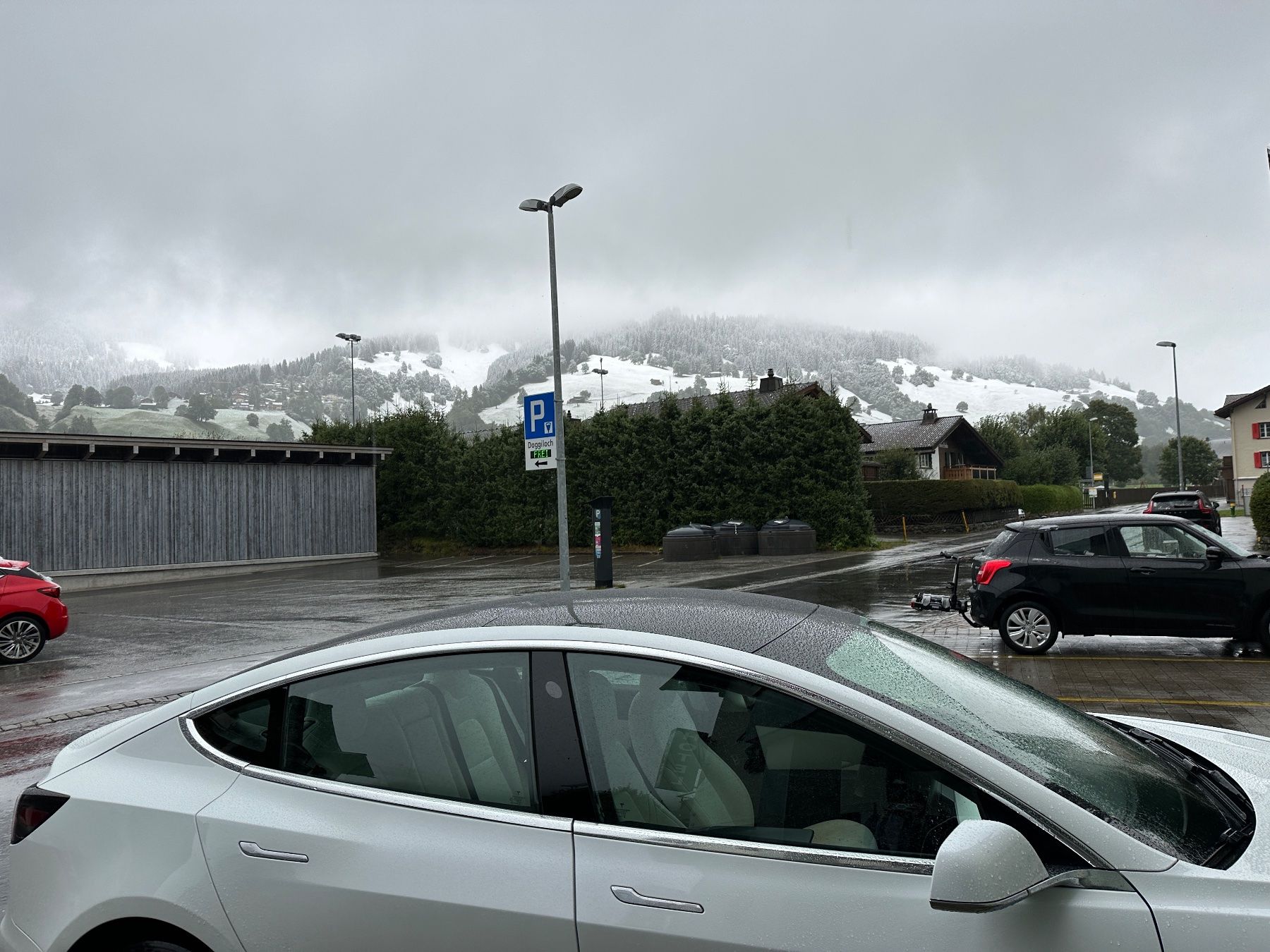 Tesla Automobili: Tesla Model 3 AWD LR – Usato da Serneus venduto da rub_5tg7 2