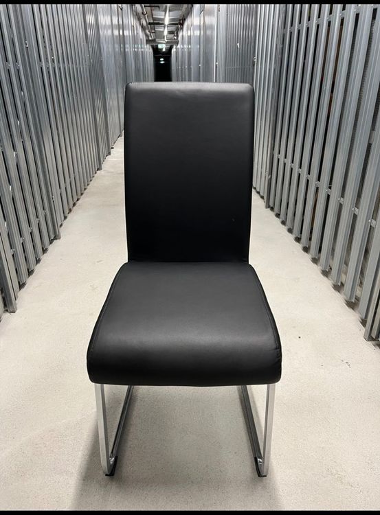 Vordere Stützstiefel Für Pferde - Universalgröße Schwarz, 2er Set