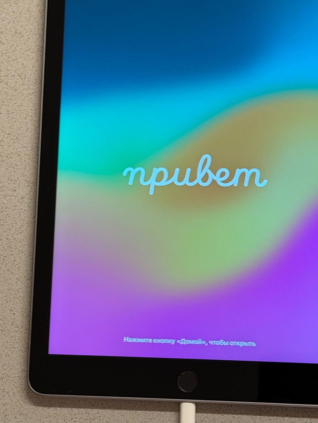 Apple Tablet PC: Apple iPad Tablet grau gebraucht mit Ladekabel – Usato da Winkel venduto da mic_8kbz 6