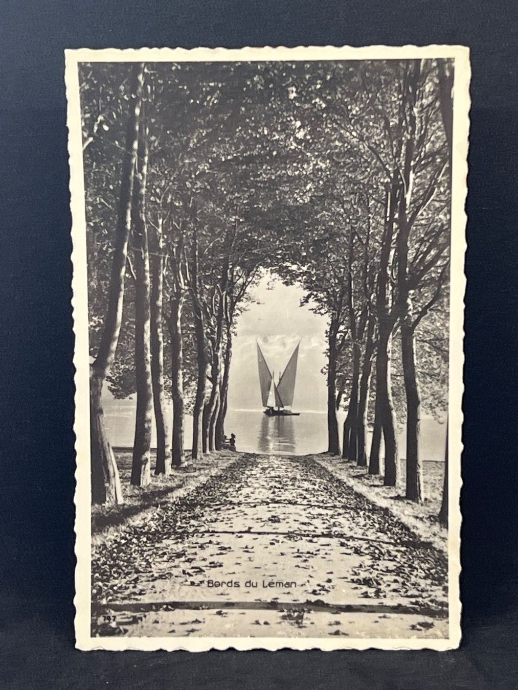 Cartoline postali: Bords du Léman – Usato da Widnau venduto da Brusi9