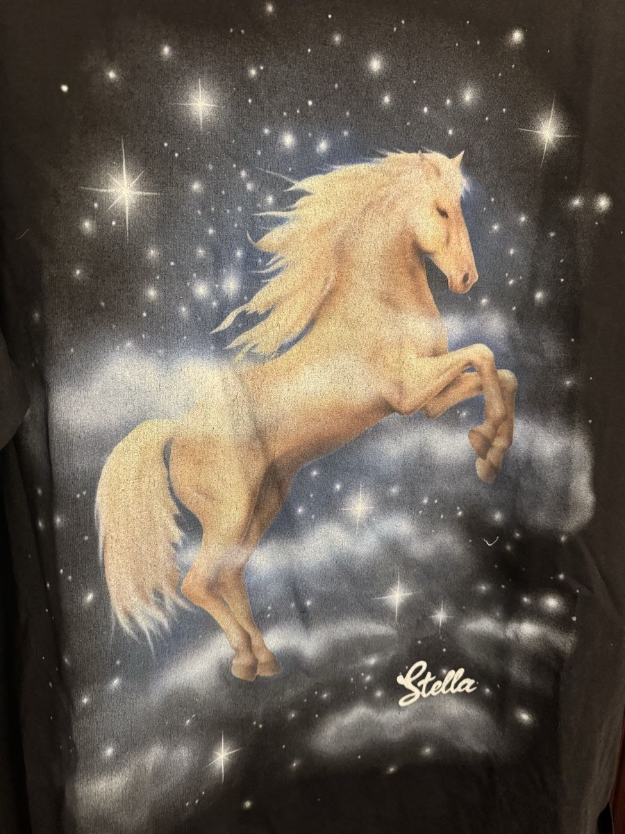 Stella McCartney T-shirt: Stella McCartney & H&M Tshirt Neu – Nuovo e nell'imballaggio originale da Obfelden venduto da cesarina10 2