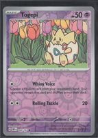 POKÉMON / Togepi / Obsidian Flames / Reverse 🇺🇸