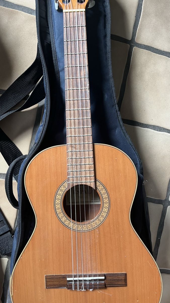 Esp Strumenti musicali: Espala Gitarre – Usato da Zürich venduto da mac1963mac 3