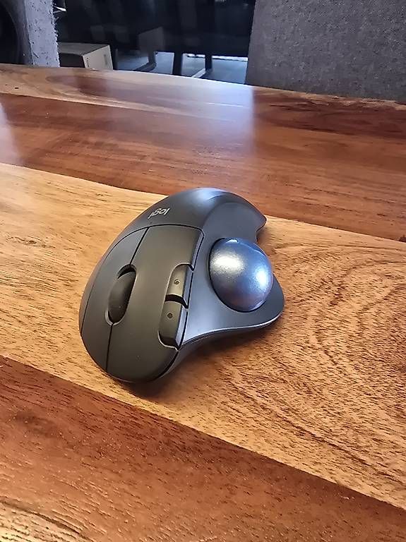 Mouse: Logitech ERGO M575 – Usato da Buchs LU venduto da san_df8f 1