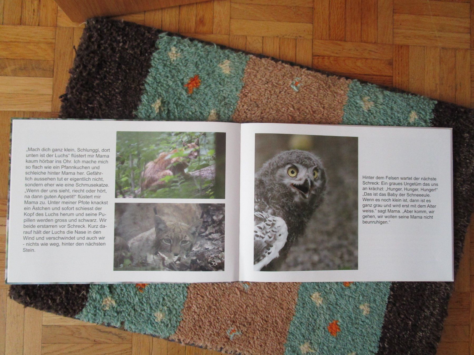 Libri: Schlunggi auf Entdeckungsreise, Kinderbuch – Usato da Scuol venduto da Luana.. 2
