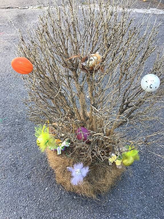 Tutte le decorazioni: Osterdekoration – Usato da Seewen SZ venduto da holx