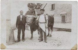 Landwirtschaft/Metzgerei 1910 Schwellbrunn ? AR