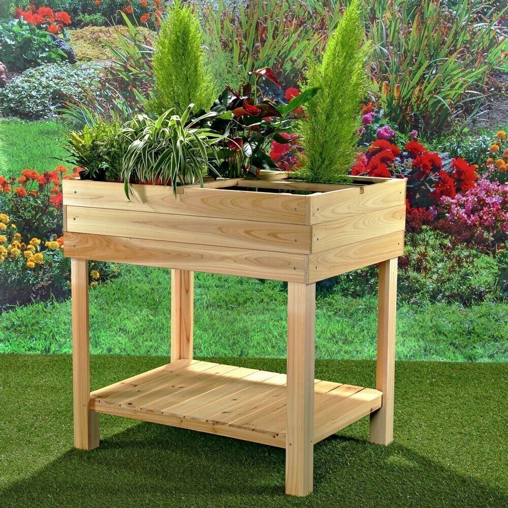 Decken: Mucola Hochbeet Holz + 4 Fächer – Neu und originalverpackt aus Bottighofen von zaap 1