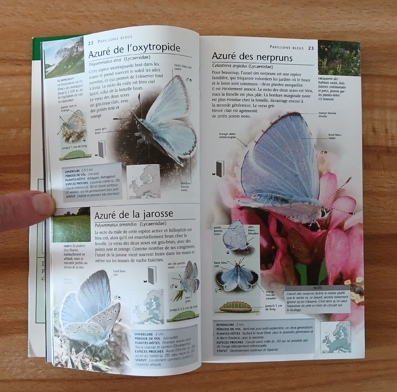 Libri: Papillons, Nature en poche – Usato da Le Sentier venduto da arc_2thy 8