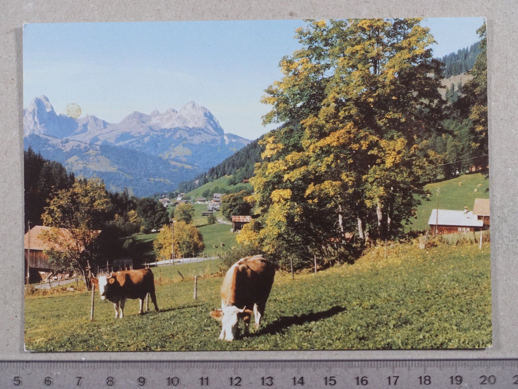 Cartoline postali: Turbach, 1990, Kuh, Kühe – Usato da Lenzburg venduto da fh1