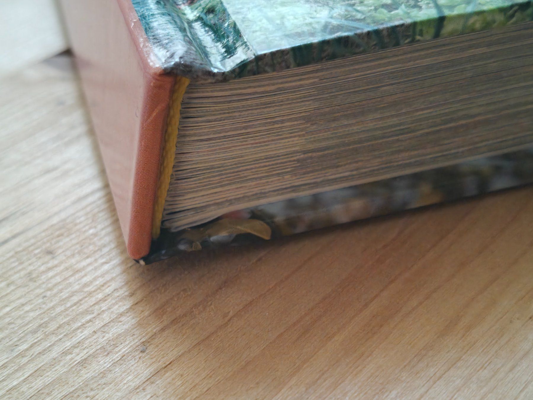 Bücher: Gartenkalender / Ratgeber - jeden Monat einzeln – Gebraucht aus Muttenz von IkaSul 6
