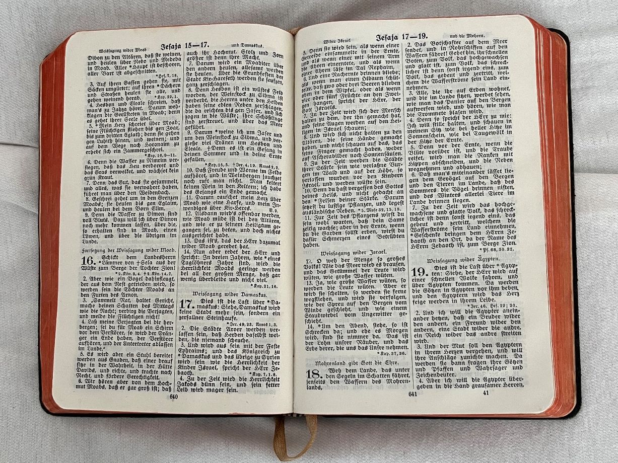 Libri: DIE BIBEL ODER HEILIGE SCHRIFT von Viktoria Knecht / 1916 – Usato da Islikon venduto da sav_m8xk 4