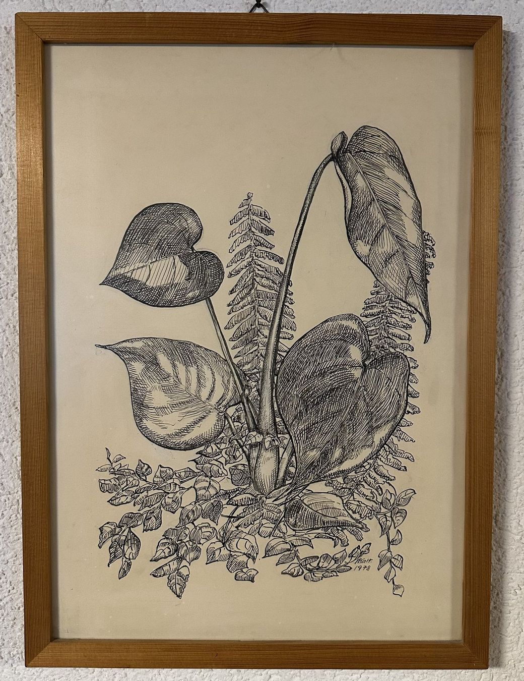 Poster & Bilder: Bild Zeichnung Tinte – Gebraucht aus Leibstadt von hjk_2025