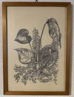 Bild Zeichnung Tinte