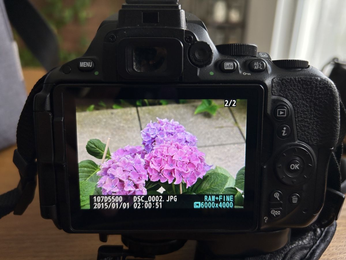 Nikon Kamera: Nikon D5500 inkl. Zubehör – Gebraucht aus Muri AG von burki_96 3