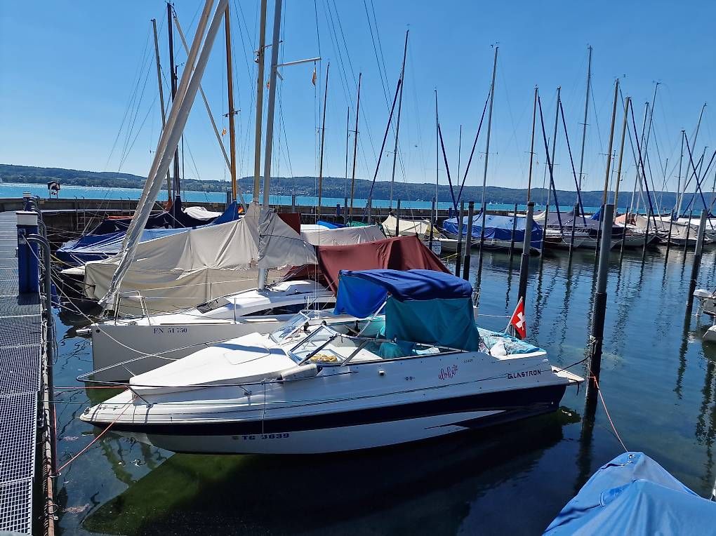 Barche: Top Sportboot Glastron GS 229 incl. Trailer – Usato da Arbon venduto da Heiasi 3