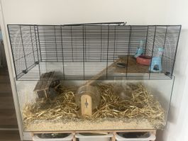 Nagerkäfig Kleintierkäfig aus Glas