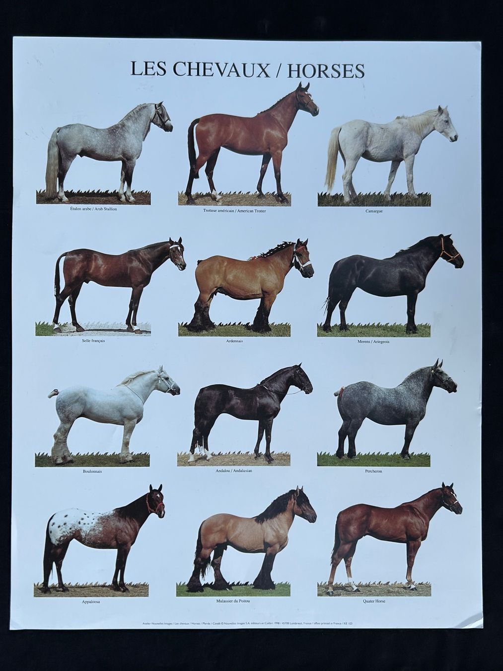 Foto & Immagini: Poster: Pferde - Chevaux – Usato da Thalwil venduto da Polichimelle