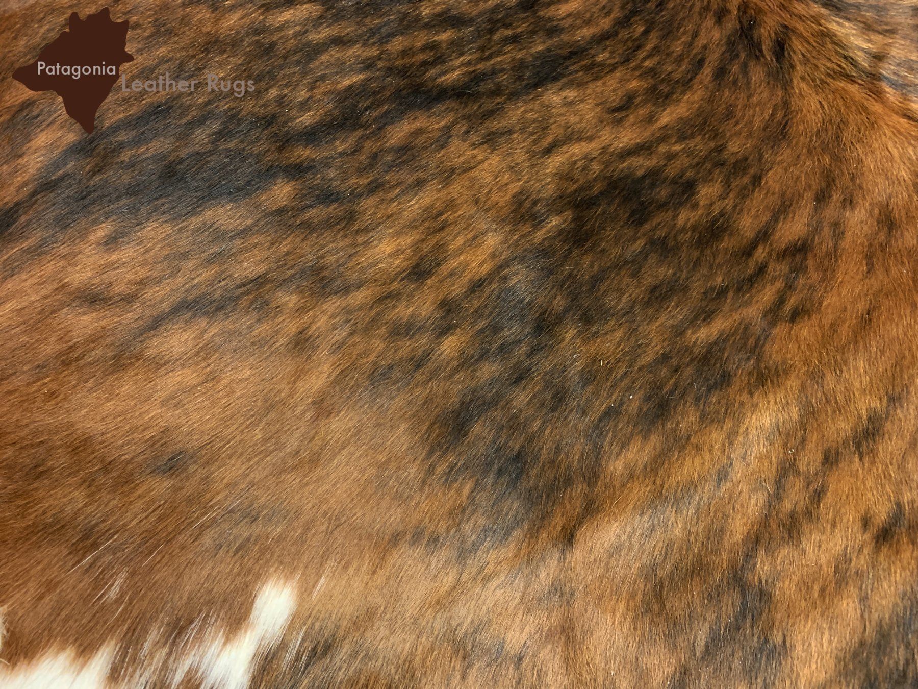 Tappeti: echtes Kuhfell Teppich exotic tricolor – Nuovo e nell'imballaggio originale da Arbedo venduto da patagonialeatherrugs 3