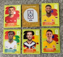 Panini WM 2026