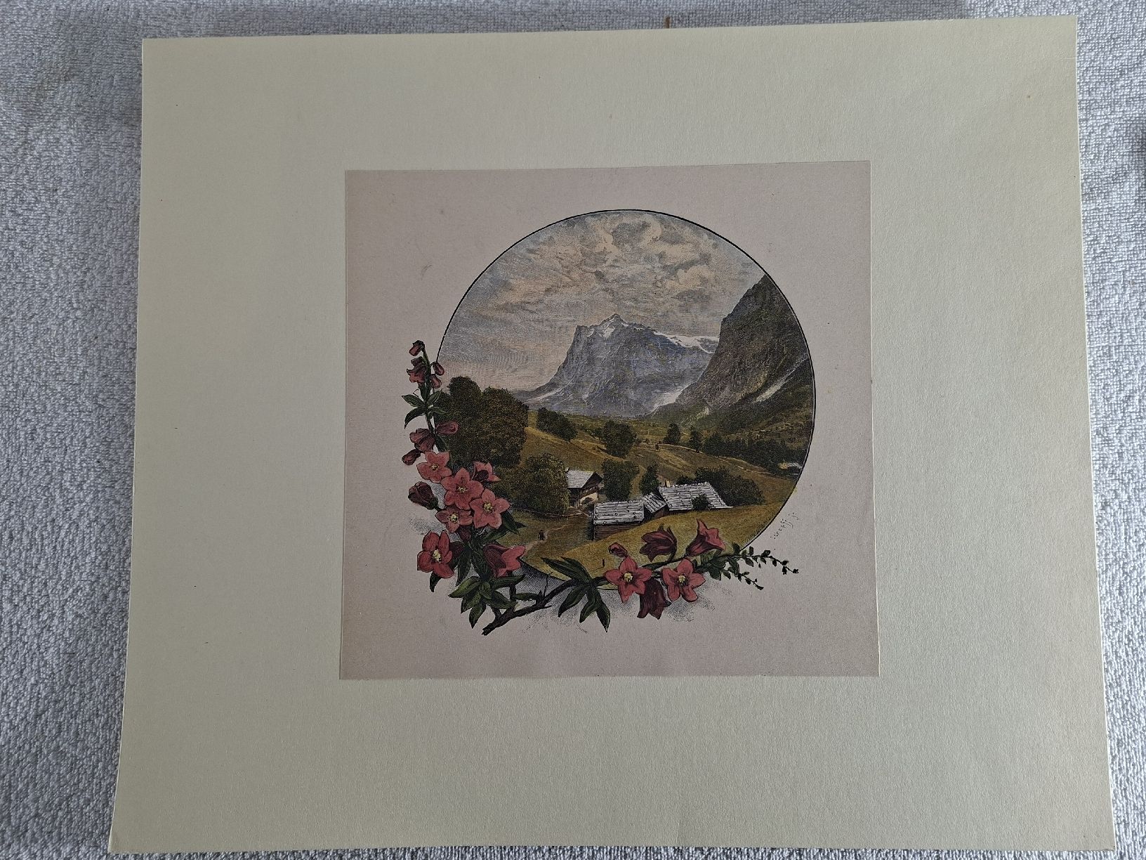 Incisioni: Lot 20, 5 Stiche  – Usato da Grindelwald venduto da carro5 6