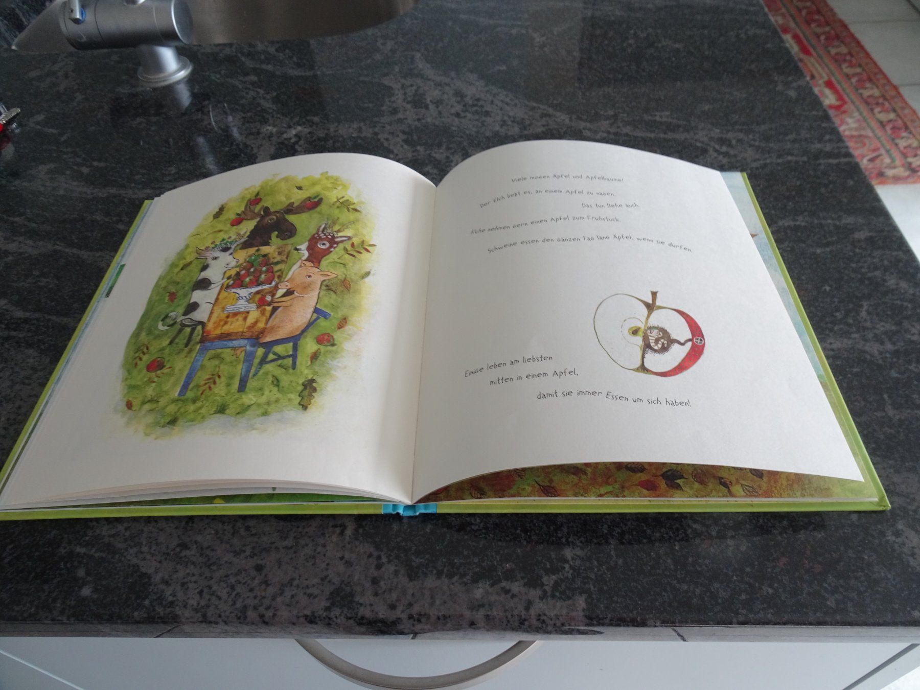 Libri: Bilderbuch Unser Apfelbaum - Neuwertig wunderschöne Bilder – Usato da Zürich venduto da Roulet 6