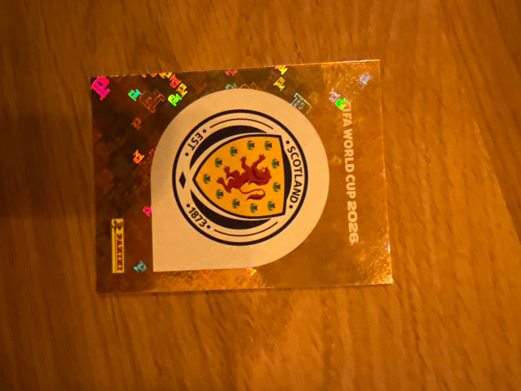 Panini Carte collezionabili: Panini – Usato da Langnau i. E. venduto da Acrjl