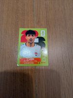 Panini IRQ12