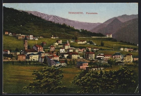 Cartoline postali: Tesserete, Panorama mit Bergen, 1924 – Usato da Berlin venduto da bartko-reher