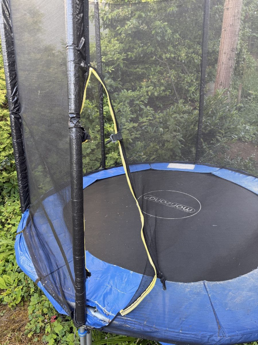 Trampolini: Monzana Trampolin 250cm bis 25.6. abholen – Usato da Rüschlikon venduto da CMKuhn 2