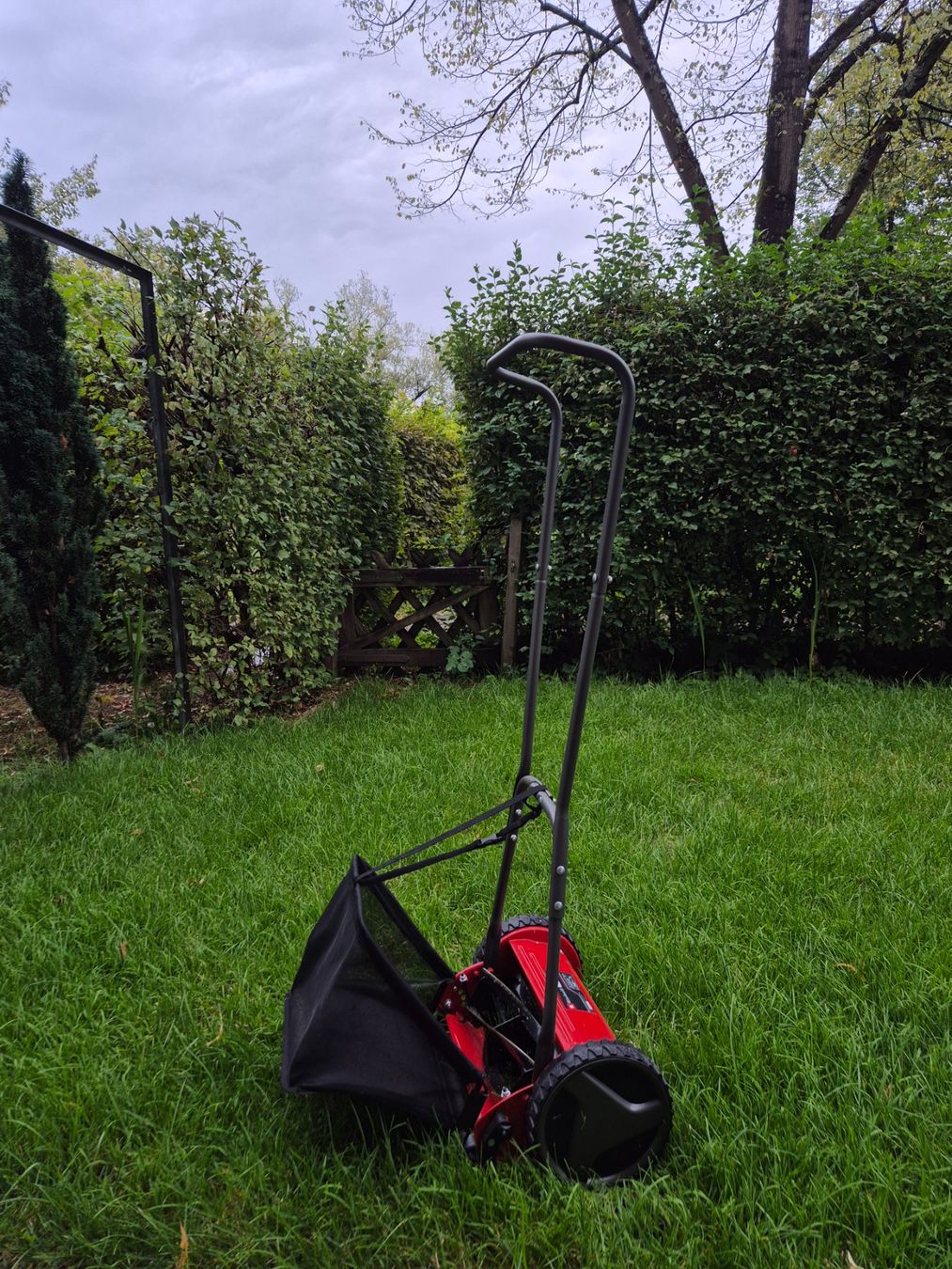 Einhell Tagliaerba: Handrasenmäher Einhell GC-HM 300 – Usato da Schwerzenbach venduto da bea_95wz