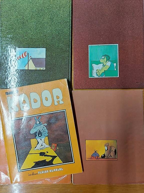 Fumetti: 9 BD's des éditions FLUIDE GLACIAL  – Usato da Martigny venduto da paquito60 1