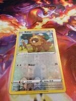 Bidiza (BRS 120) / Reverse Holo / Strahlende Sterne