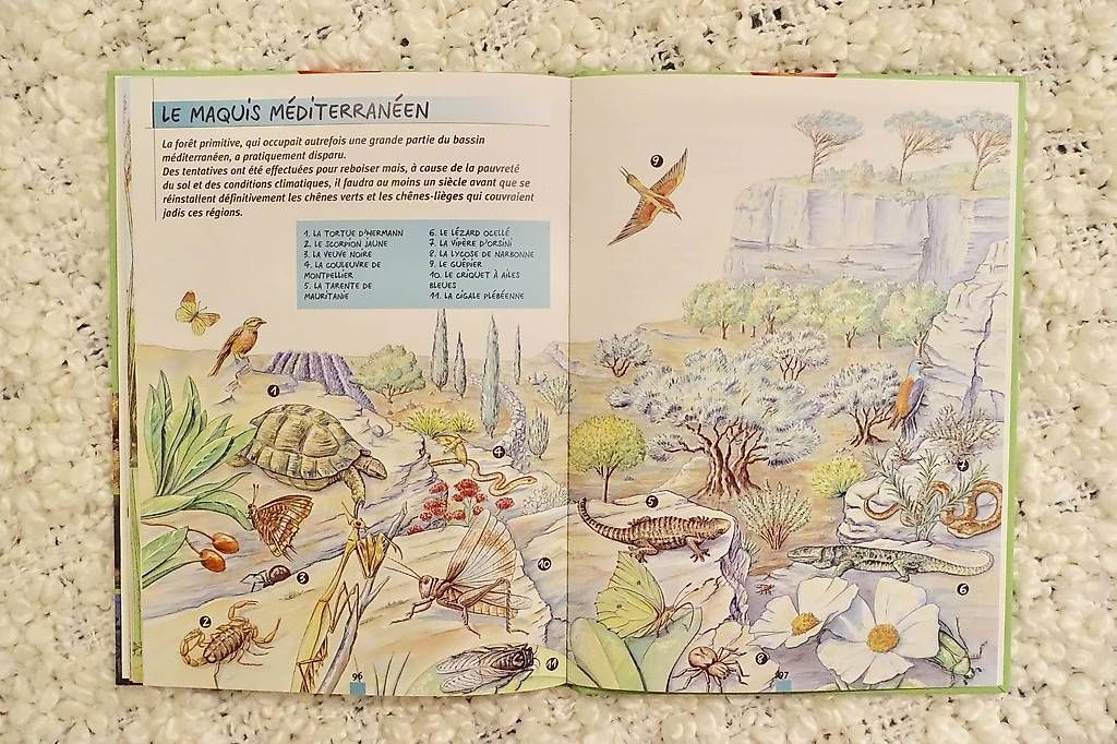 Bücher: La campagne pour enfants – Neu (gemäss Beschreibung) aus Genève von fto_sz8d 3
