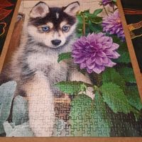 Ravensburger Husky Puzzle 500 grössere Teile