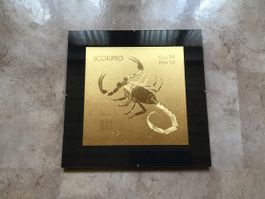 Skorpion Bild im Wechselrahmen