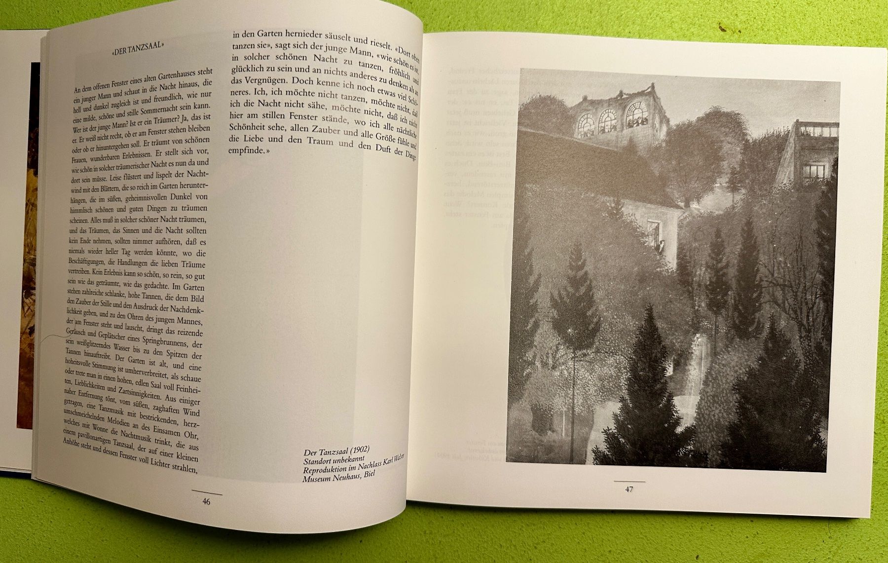 Libri: B. Echte, A. Meier: Die Brüder Karl und Robert Walser – Usato da Zürich venduto da allp 4