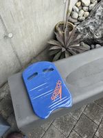 Speedo Kickboard