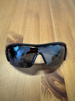 Lunettes alpina