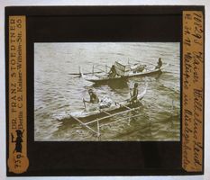 Glasdia Neuguinea / Kaiser Wilhelmsland: Matupis, um 1920
